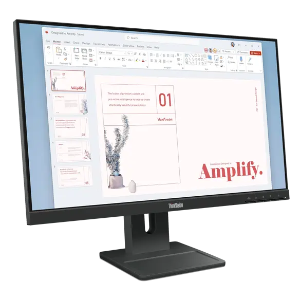 Lenovo ThinkVision E24-40 23.8