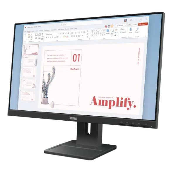 Lenovo ThinkVision E24-40 23.8
