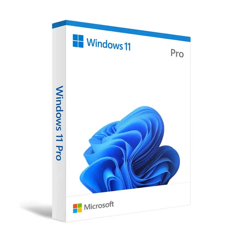 Microsoft Windows 11 Pro